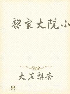 黎家大院小说