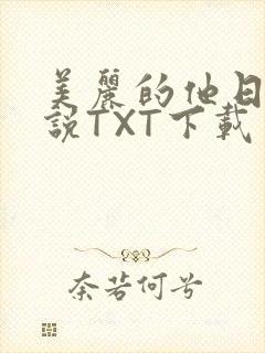 美丽的他日剧小说TXT下载