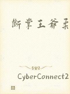 断掌王爷柔水妃