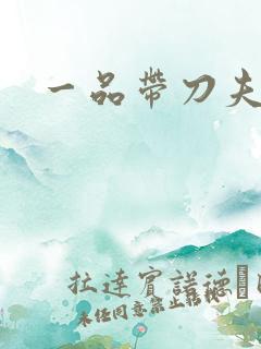 一品带刀夫人