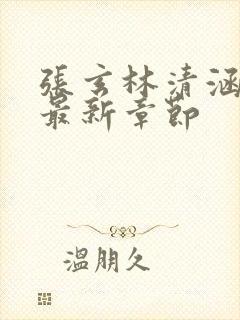 张玄林清涵全文最新章节