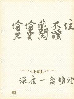 偷偷藏不住小说免费阅读