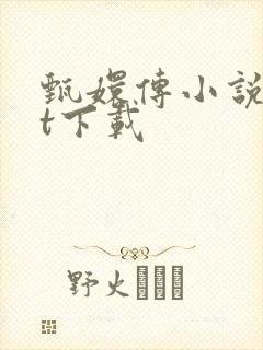 甄嬛传小说txt下载