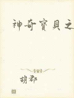 神奇宝贝之一辉