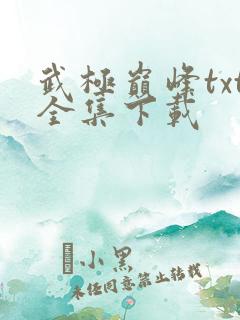 武极巅峰txt全集下载