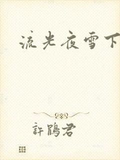 流光夜雪下载