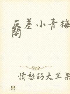 反差小青梅笔趣阁