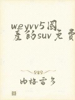 weyvv5国产的suv免费