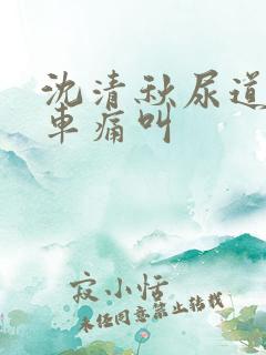 沈清秋尿道扩张车痛叫