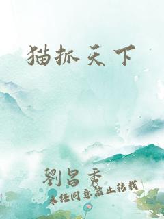 猫抓天下