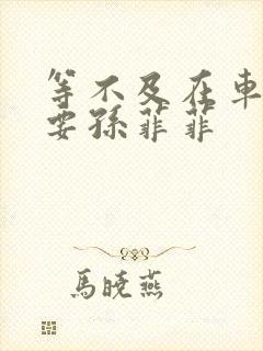 等不及在车里就要孙菲菲