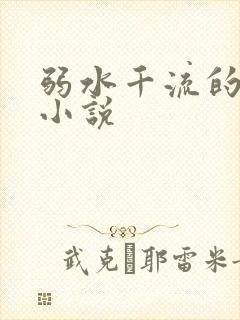 弱水千流的全部小说