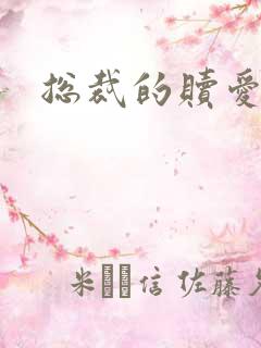 总裁的赎爱宝贝