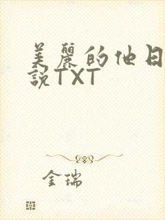 美丽的他日剧小说TXT
