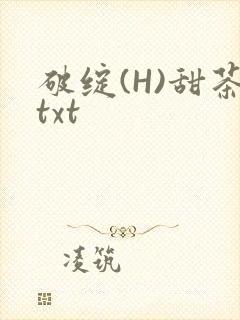 破绽(H)甜茶txt
