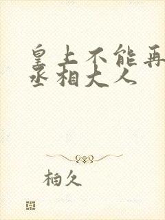 皇上不能再进了丞相大人