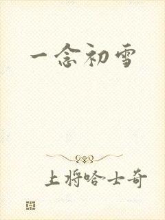 一念初雪