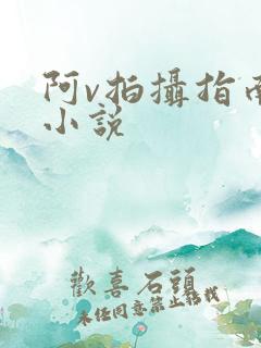 阿v拍摄指南说小说