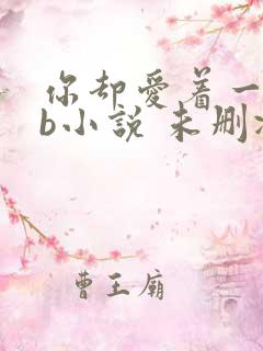 你却爱着一个sb小说 未删减完整版百度云