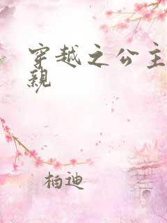 穿越之公主要娶亲