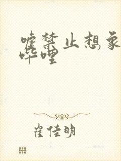 嘘禁止想象哔哩哔哩