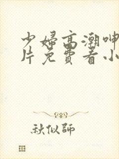 少妇高潮呻吟A片免费看小说