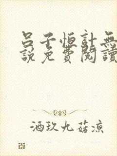 吕子恒计无伤小说免费阅读