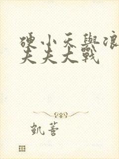 硬小天与浪小辉夫夫大战