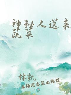 神秘人送来千斤蔬菜