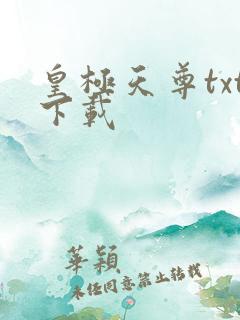 皇极天尊txt下载