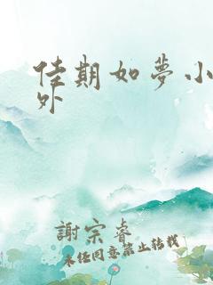 佳期如梦小说番外