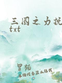 三国之力挽狂澜txt