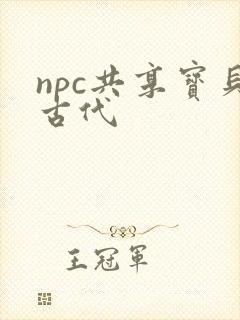 npc共享宝贝古代