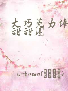 大巧克力棒c小甜甜圈