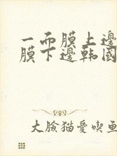 一面膜上边一面膜下边韩国