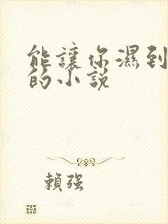 能让你湿到不行的小说