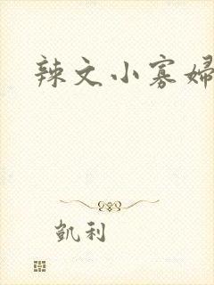 辣文小寡妇