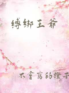 缚绑王爷