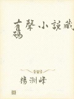 有声小说藏地密码