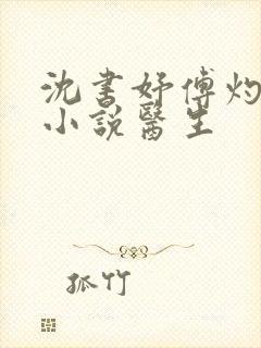 沈书妤傅灼抖音小说医生