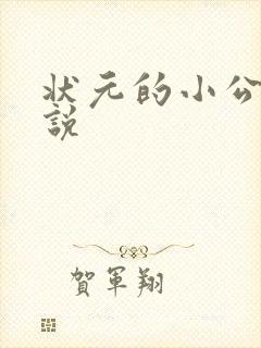 状元的小公主小说