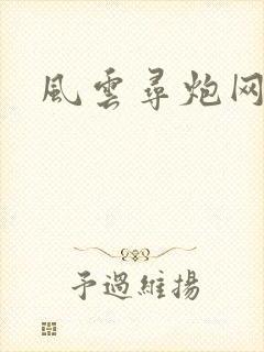风云寻炮网