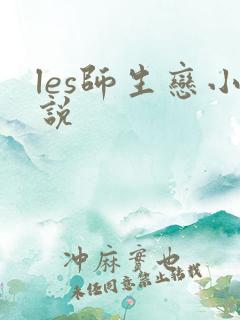 les师生恋小说