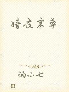 暗夜寒尊