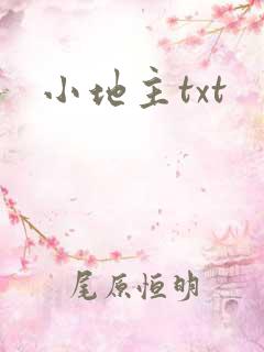 小地主txt