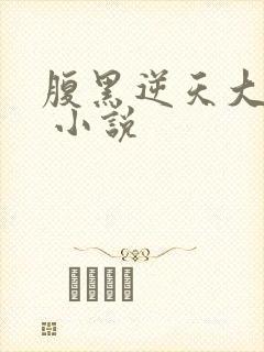 腹黑逆天大小姐 小说