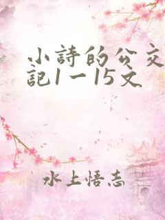 小诗的公交车日记1一15文