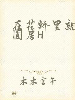 在花轿里就开始圆房H