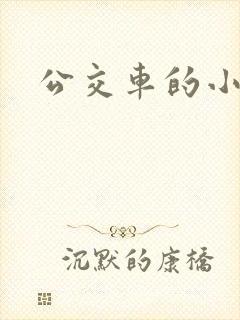 公交车的小说