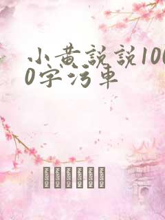 小黄说说1000字污车